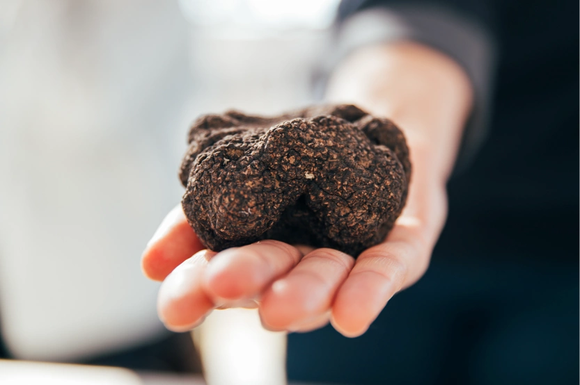 Marché de la Truffe